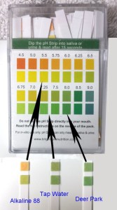 water ph test for acidity or alkalinity